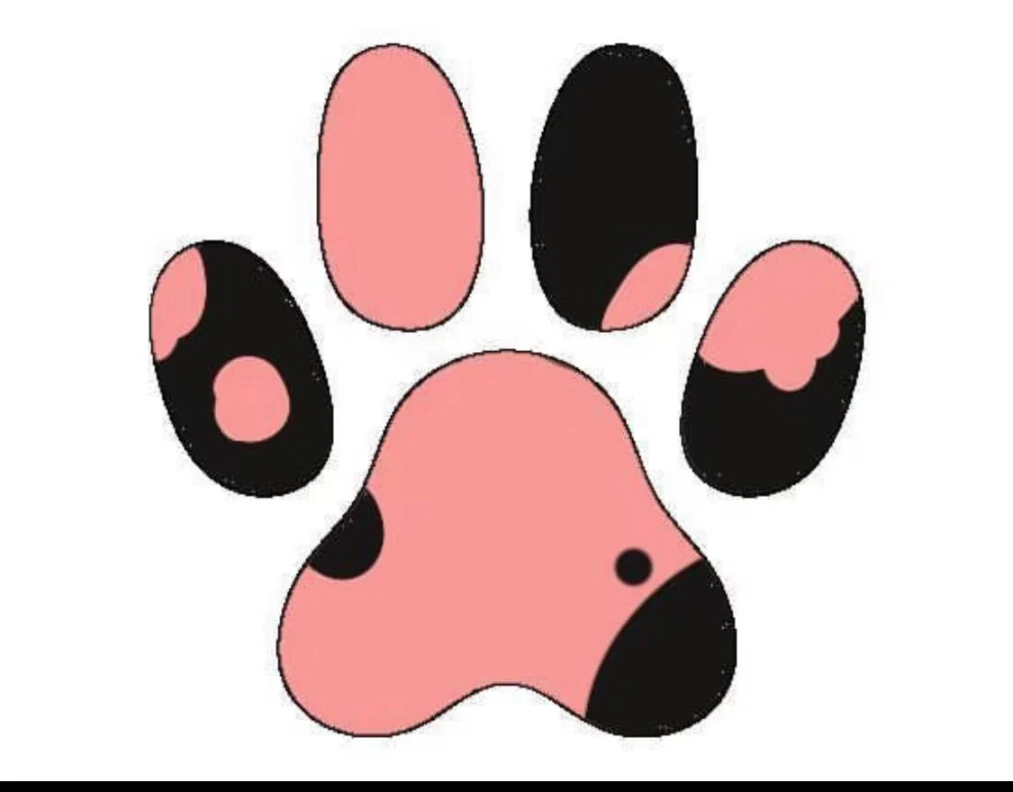 800g Super Large Flocking Ultra Soft Silicone Cat Paw Squishy Toy Handmade Toy(Color can be customized) - Image 5